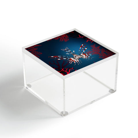 Monika Strigel Nocturnal Creature Acrylic Box