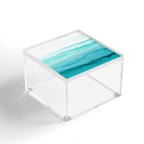 Monika Strigel WITHIN THE TIDES LIMPET SHELL Acrylic Box
