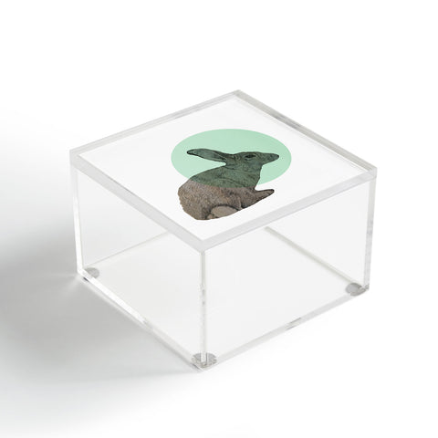 Morgan Kendall aqua rabbit Acrylic Box