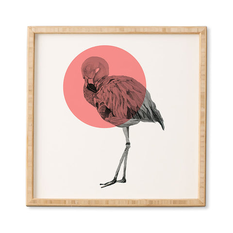 Morgan Kendall coral flamingo Framed Wall Art