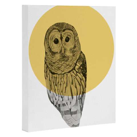 Morgan Kendall Gold Owl Art Canvas