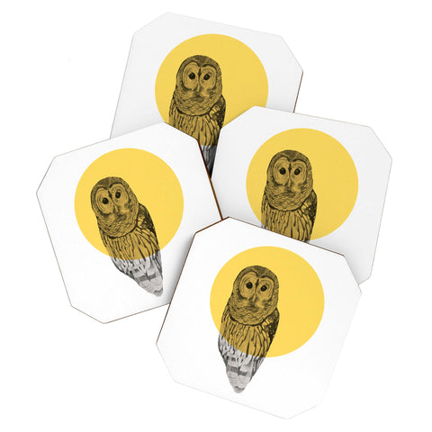 Morgan Kendall Gold Owl Coaster Set