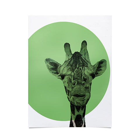 Morgan Kendall green giraffe Poster