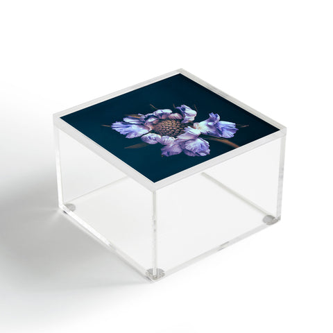 Morgan Kendall purple honeycomb Acrylic Box