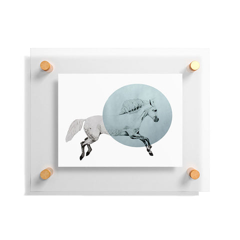 Morgan Kendall White Horse Floating Acrylic Print