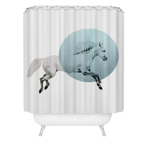 Morgan Kendall White Horse Shower Curtain
