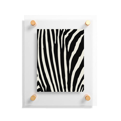 Natalie Baca Zebra Stripes Floating Acrylic Print