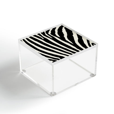 Natalie Baca Zebra Stripes Acrylic Box