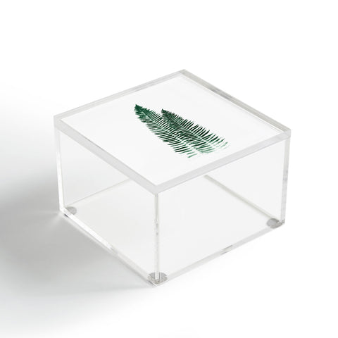 Nature Magick Green Forest Fern Acrylic Box
