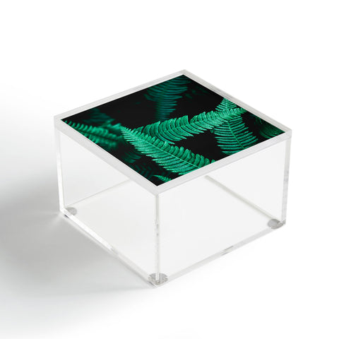 Nature Magick Green Forest Ferns Acrylic Box