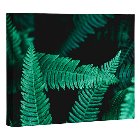 Nature Magick Green Forest Ferns Art Canvas