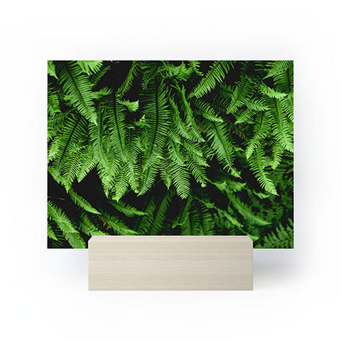 Nature Magick Pacific Northwest Forest Ferns Mini Art Print