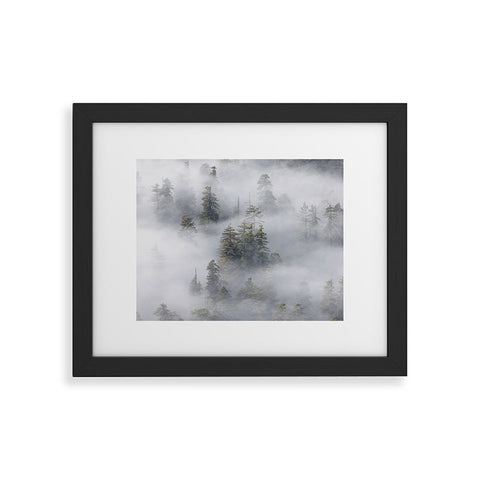 Nature Magick Redwood National Park Mist Framed Art Print