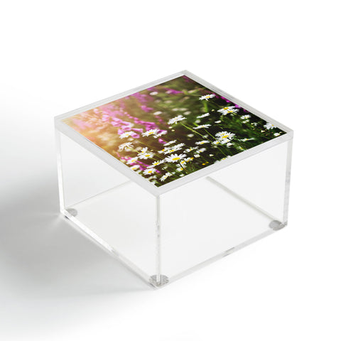 Nature Magick Wildflower Adventure Acrylic Box