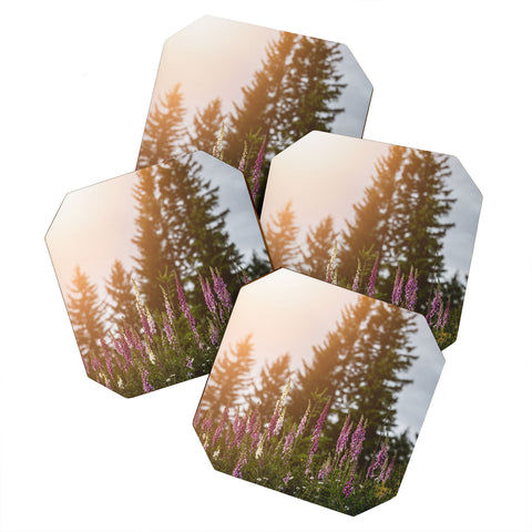 Nature Magick Wildflower Summer Adventure Coaster Set