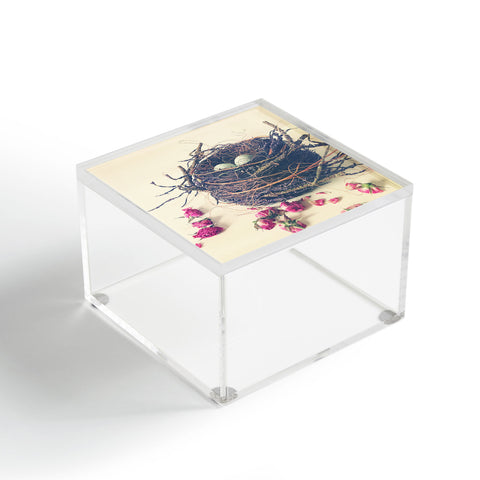Olivia St Claire Bird Nest Acrylic Box