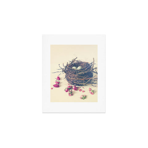 Olivia St Claire Bird Nest Art Print
