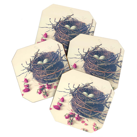 Olivia St Claire Bird Nest Coaster Set