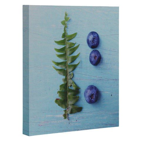 Olivia St Claire Blueberries and Fern Art Canvas