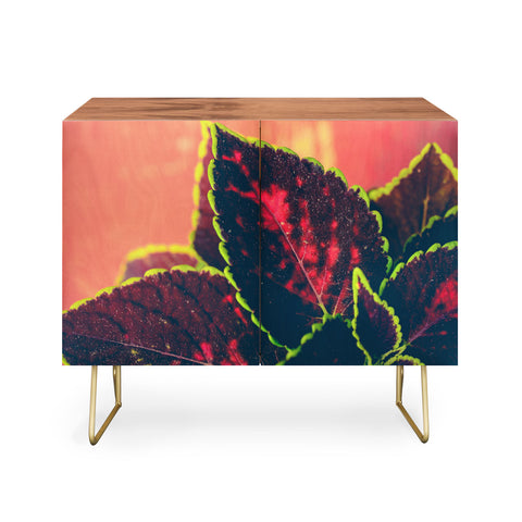 Olivia St Claire Coleus on Red Table Credenza