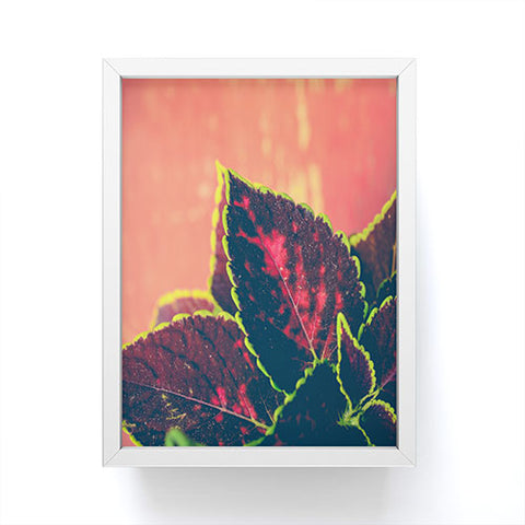 Olivia St Claire Coleus on Red Table Framed Mini Art Print