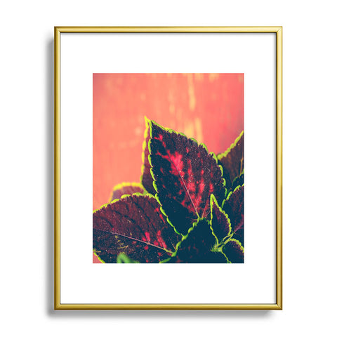 Olivia St Claire Coleus on Red Table Metal Framed Art Print