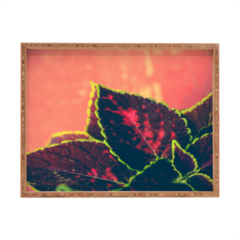 Olivia St Claire Coleus on Red Table Rectangular Tray