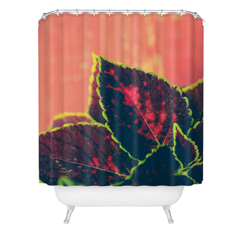 Olivia St Claire Coleus on Red Table Shower Curtain