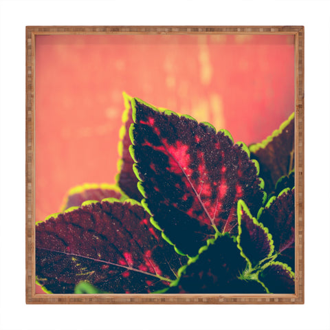Olivia St Claire Coleus on Red Table Square Tray