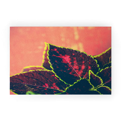Olivia St Claire Coleus on Red Table Welcome Mat
