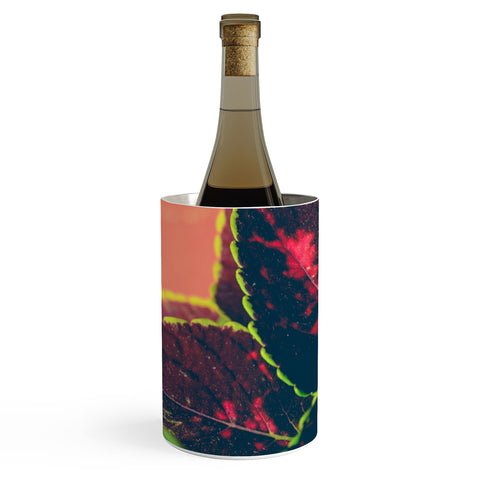 Olivia St Claire Coleus on Red Table Wine Chiller