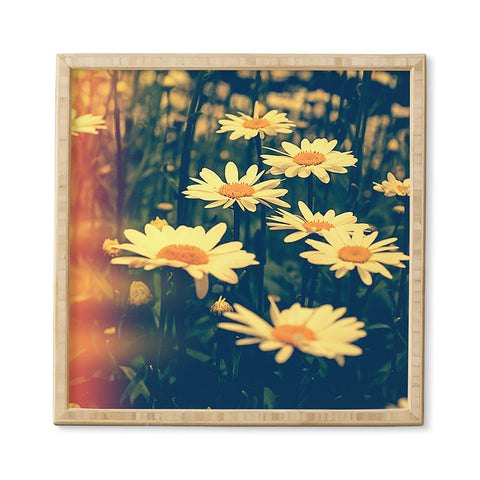 Olivia St Claire Daisies Framed Wall Art