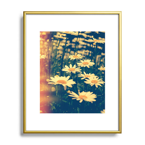 Olivia St Claire Daisies Metal Framed Art Print