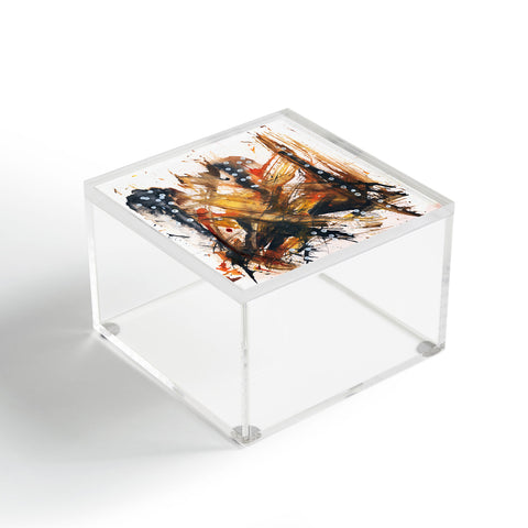 Olivia St Claire Dreams of Flying Acrylic Box