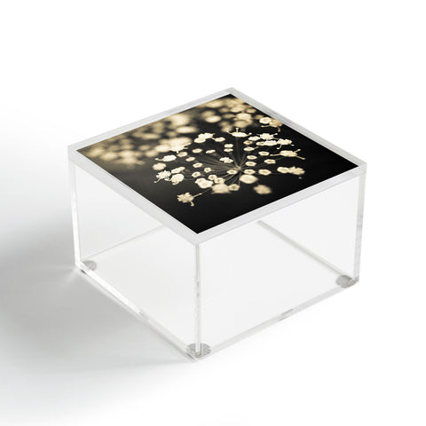 Olivia St Claire Finding Focus Acrylic Box