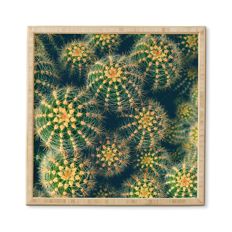 Olivia St Claire Lovely Cactus Framed Wall Art
