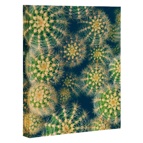 Olivia St Claire Lovely Cactus Art Canvas