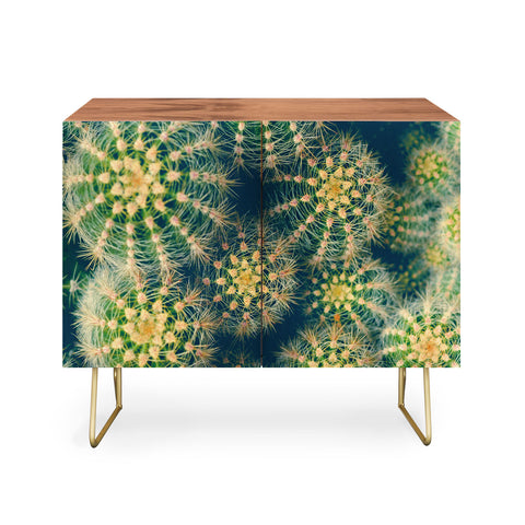 Olivia St Claire Lovely Cactus Credenza
