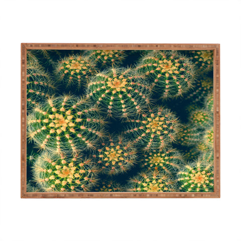 Olivia St Claire Lovely Cactus Rectangular Tray