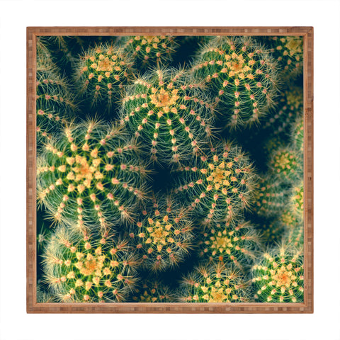 Olivia St Claire Lovely Cactus Square Tray