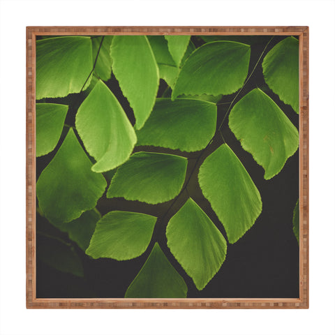 Olivia St Claire Maidenhair Fern 2 Square Tray