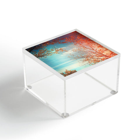 Olivia St Claire Overlook Acrylic Box