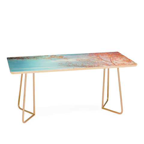 Olivia St Claire Overlook Coffee Table