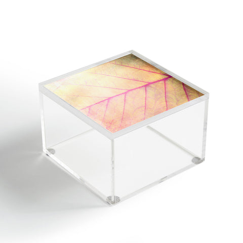 Olivia St Claire Pink Leaf Abstract Acrylic Box