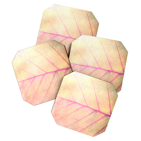 Olivia St Claire Pink Leaf Abstract Coaster Set