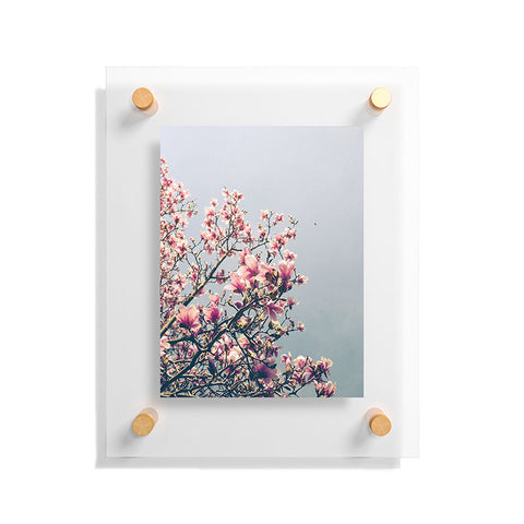 Olivia St Claire Pink Magnolia Floating Acrylic Print