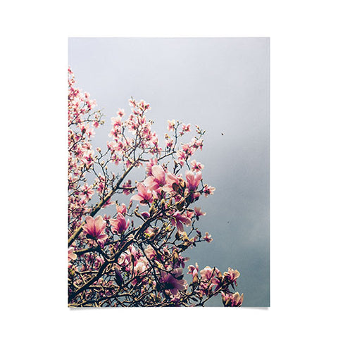 Olivia St Claire Pink Magnolia Poster