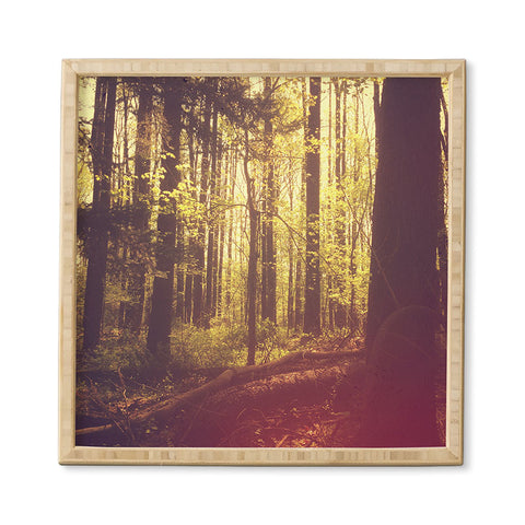 Olivia St Claire She Experienced Heaven on Earth Among the Trees Framed Wall Art