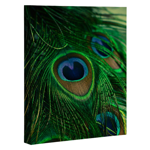 Olivia St Claire Shimmering Color Art Canvas