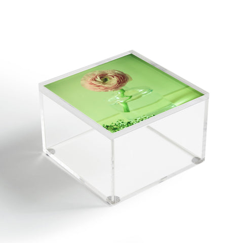 Olivia St Claire Spring Essentials Acrylic Box